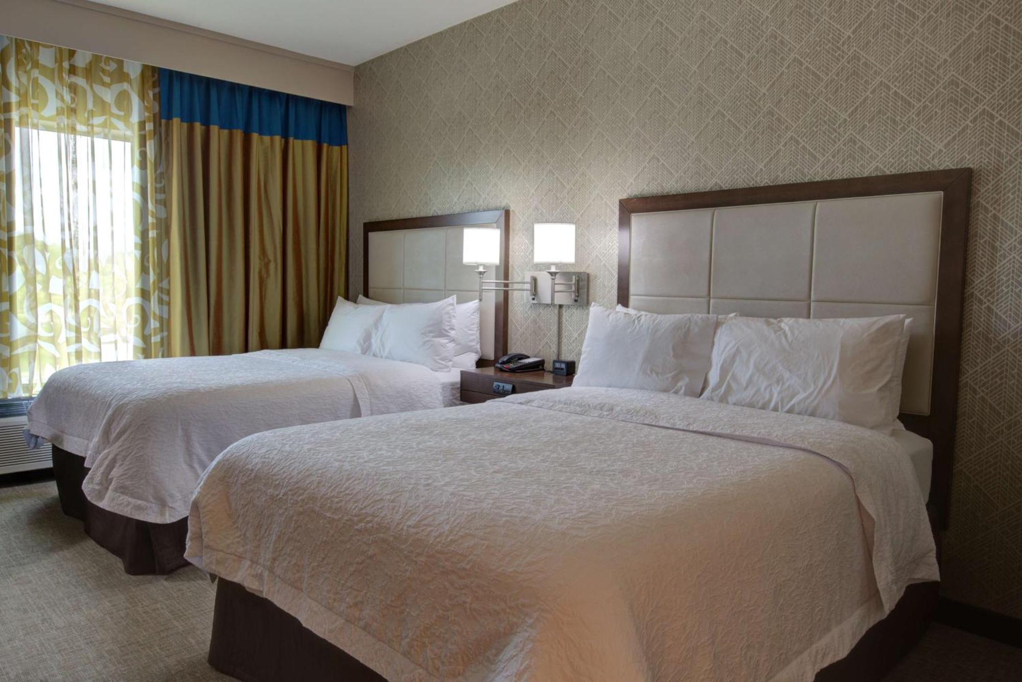Hampton Inn & Suites By Hilton Tampa Busch Gardens Area Εξωτερικό φωτογραφία